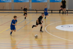 _MG_3690-Avec accentuation-Bruit.jpg